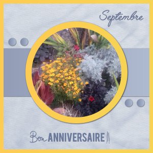 J-a25 - BON ANNIVERSAIRE.jpg