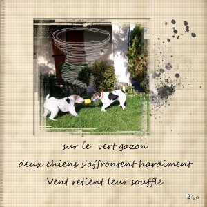 chiens.jpg voici encore une suite de haikus mon dada pour l'heure
