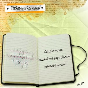 haiku sur syndrome de la page blanche.