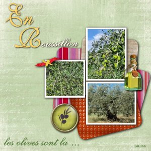 Olives en roussillon .jpg