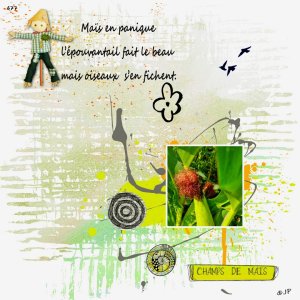 maïs en panique