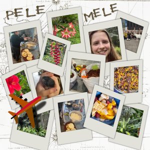 album Aube.jpg