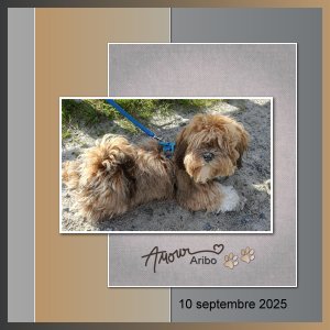 J-A22 - AMOUR ARIBO.jpg