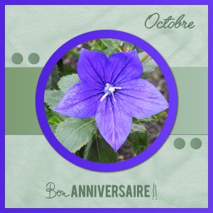 J-a26 - BON ANNIVERSAIRE.jpg