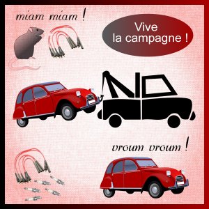 J-s296 - VIVE LA CAMPAGNE.jpg