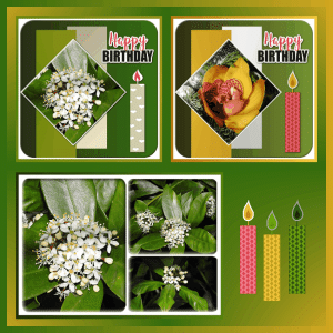 J-s297 - HAPPY BIRTHDAY.gif