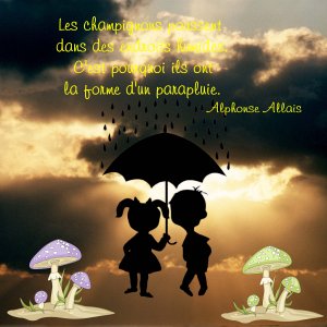 02 Scraptober  parapluie.jpg