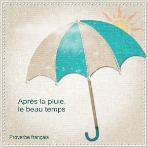 j-s299 - APRES LA PLUIE.jpg