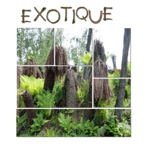 4 - Exotique.jpg