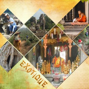 4- exotique.jpg