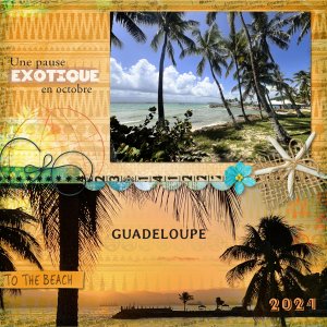4-Exotique.jpg