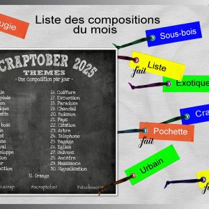 J-s308 - LISTE DES COMPOSITIONS.jpg
