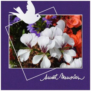 J-a28 - SWEET MEMORIES.jpg