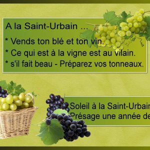 J-s311 - A LA SAINT-URBAIN.jpg