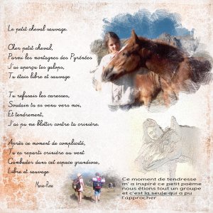cheval.jpg