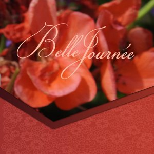 J-s320 - BELLE JOURNEE .jpg