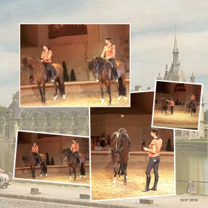 11 10 2025 Cheval (page 1).jpg