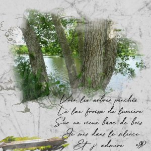 arbre