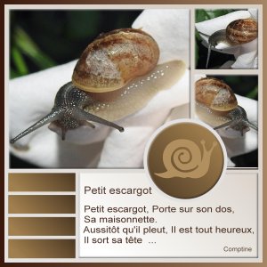 J-s324 - PETIT ESCARGOT.jpg