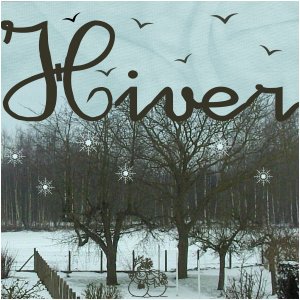 J-s327 - HIVER.jpg