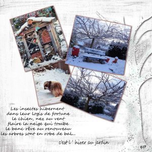 14 hiver.jpg