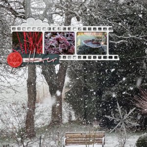 scraptober 2025.14.hiver.jpg