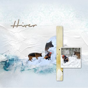 Hiver.jpg