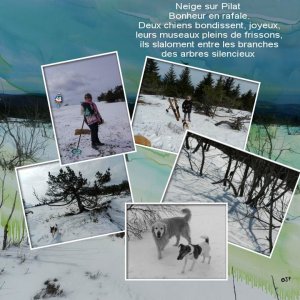14 hiver.jpg