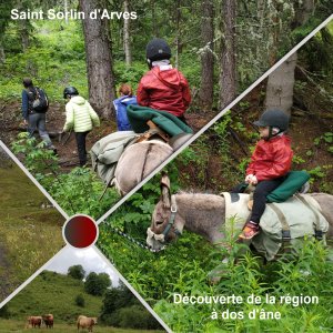 J-335 - DECOUVERTE A DOS D'ANE.jpg