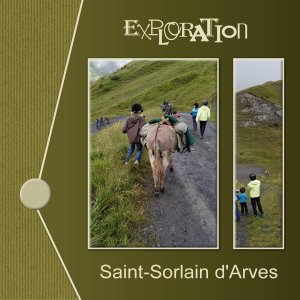 J-s336 - EXPLORATION.jpg