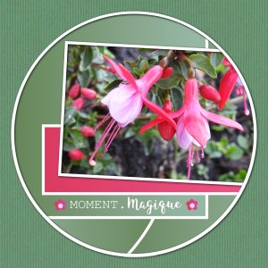 J-n177 -  MOMENT MAGIQUE.jpg