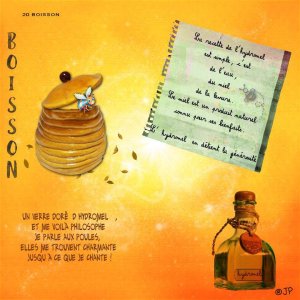 20 boisson hydromel.jpg