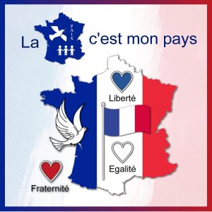 J-s343 - LA FRANCE - C'EST.jpg