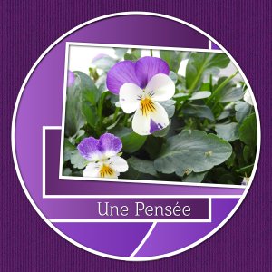 J-a32 - UNE PENSEE.jpg