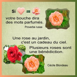 J-s343 - UNE ROSE.jpg