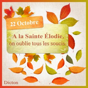 J - A LA SAINTE ELODIE.jpg