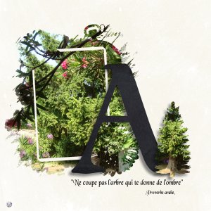 23 arbre