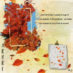 23 arbre .jpg