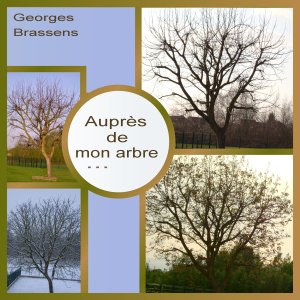 J-s344 - AUPRES DE MON ARBRE.jpg