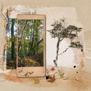 23 - Arbre.jpg