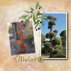 23 10 2025 Arbre (page 1).jpg