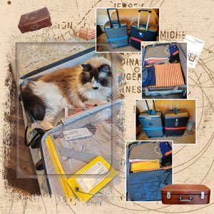 25 10 2025 Bagages.jpg