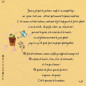 29 processus naissance.jpg