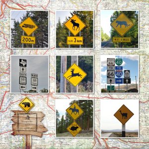 Scraptober #30 - Signalisation