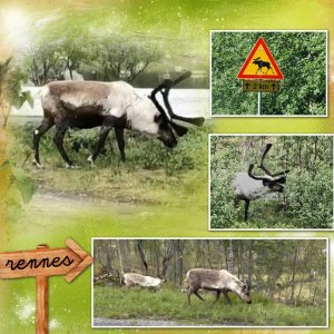 30 - signalisation.jpg