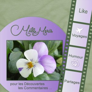 j - MILLE MERCIS.jpg