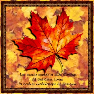 31 scraptober orange.jpg