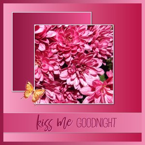 j - KISS ME GOOD NIGHT.jpg