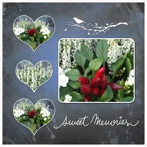 J - SWEET MEMORIES.jpg
