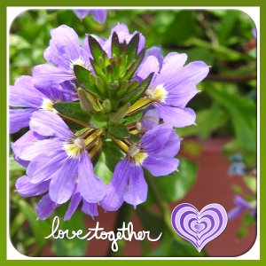 J - LOVE TOGETHER.jpg